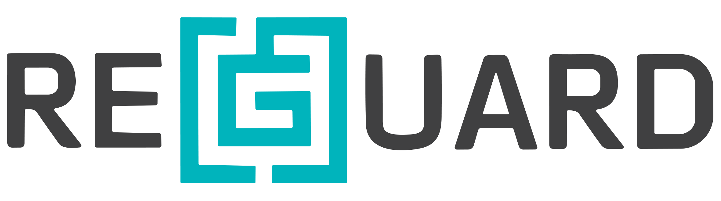 Reguard Security Logo Black 1